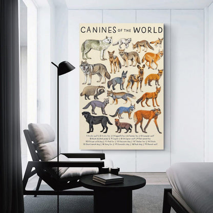 CYPGTBCK Canines Poster - Wolf Dog Fox Animal Knowledge Art - Modern Family Bedroom Decor - 16x24inch (40x60cm)