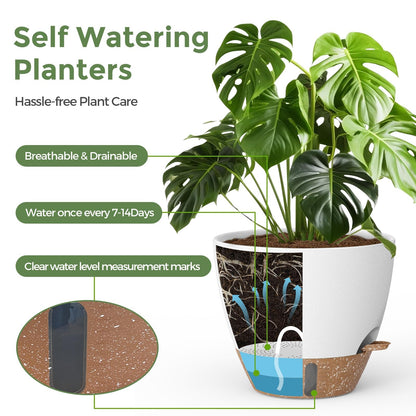 LifeNest Plant Pots, 12" 10" 6" 8" Inch Self Watering Pots with Water Level Indicator, Set of 5 Flower Pots Indoor with Drainage Holes, Modern Planters for Indoor Outdoor Plants, Room & Office Décor