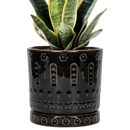 Eightpot Ceramic Plant Pots - 6 Inch Ceramic Planter for Indoor Outdoor, Round Flower Pots with Drainage Hole and Plant Saucer, Boho Decorative Small Planter, House Decor, Gifts for Gardeners, Black