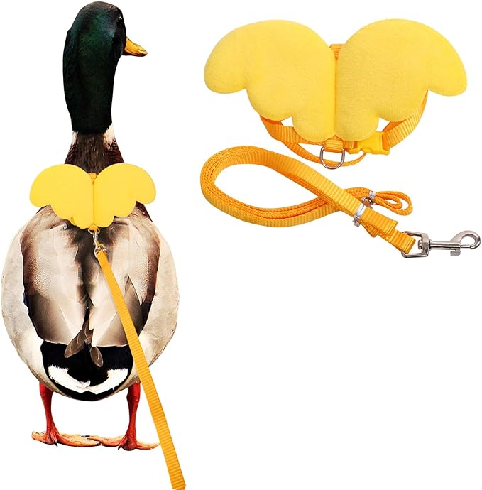 KAMA BRIDAL Duck Walking Harness and Leash Chicken Duck Outdoor Training Rope Adjustable Rope for Pet Poultry Hen Cock (XS, Yellow)