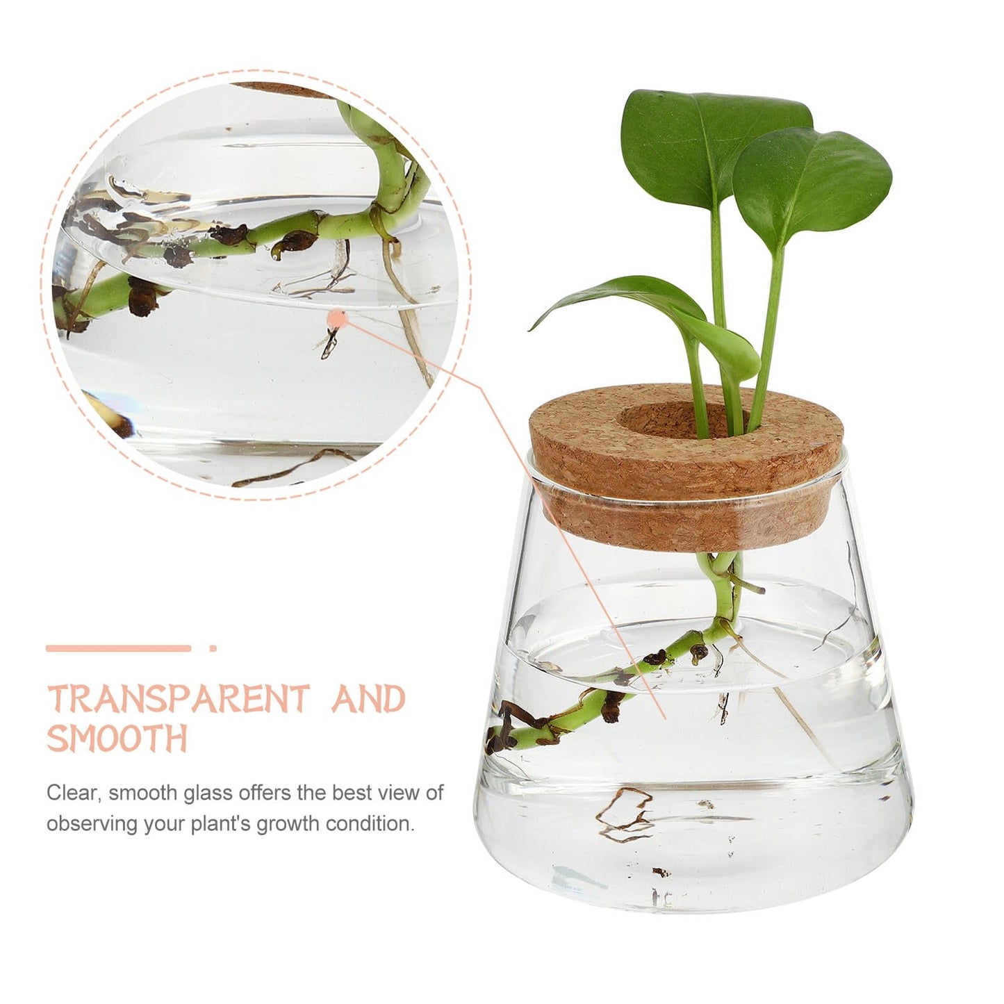 DOITOOL 2pcs Hydroponic Glass Planting Pots Small Terrarium Vase with 6.5cm Opening for Indoor Garden Decoration and Water Plant Propagation