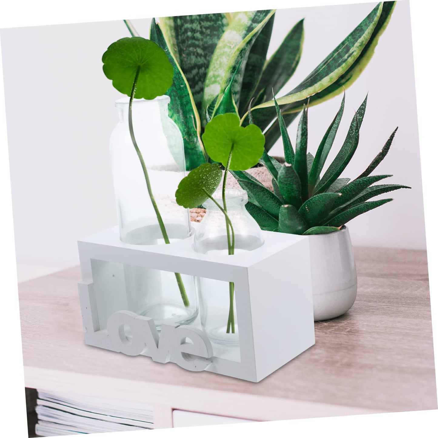 VANZACK Glass Pothos Vase Wooden Stand Hydroponic Desktop Terrarium for Air Plants Decorative Plant Holder