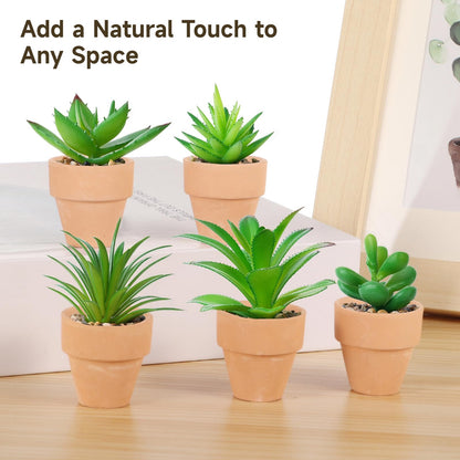 50 Pcs Mini Terracotta Pots, 1.2" Succulent Nursery Pots with Drainage Holes, Miniature Cactus Flower Planters, Tiny Clay Terra Cotta Pots for Indoor Outdoor Plants, DIY Crafts (50PCS)