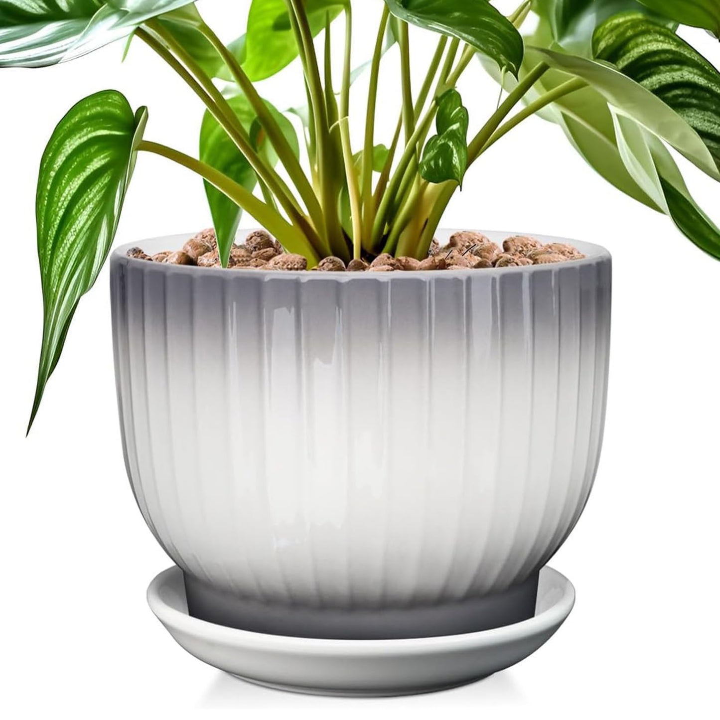 YUFDA 8 Inch Plant Pot, Ceramic Planter with Drainage and Saucer, Ceramic Pots for Plants, Indoor Plant pots,Ceramic Flower pots(Gray + White, Plants NOT Included)
