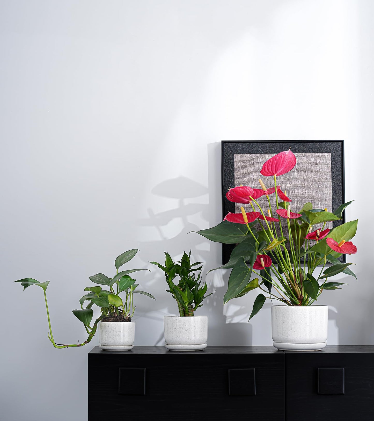 Ton Sin Plant Pots, 4.1+5.1+6.5 inch, Set of 3, Ceramic Planters with Drainage Hole and Saucer, Indoor Flower Pot with Drainage Hole, Gifts for Mom(Reactive Glaze White)