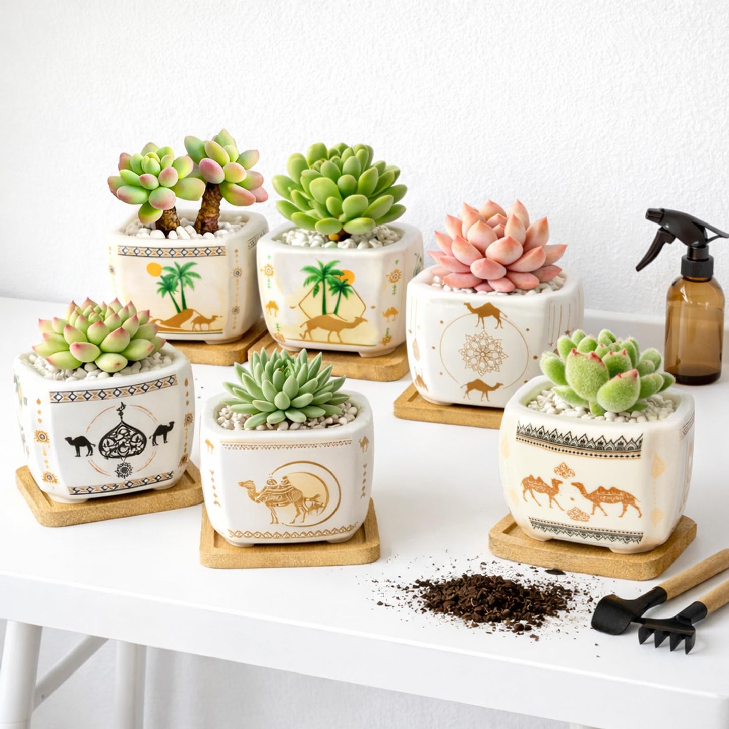 Succulent Pots with Drainage, 3.2" Small Plant Pots with Bamboo Trays, Ceramic Pots for Indoor Plants, Cactus Pots, Mini Succulent Planters for Home Garden Decor, Set of 6
