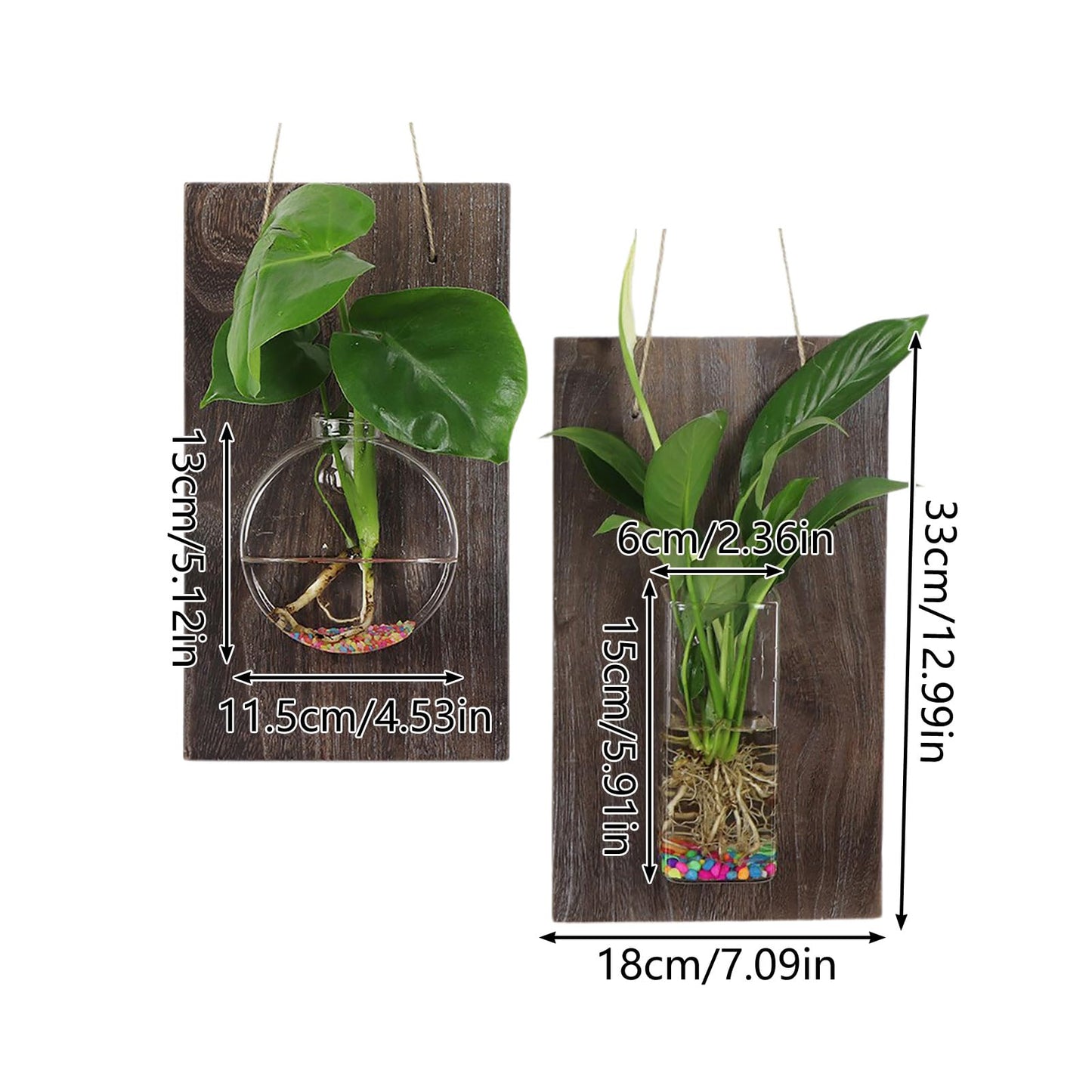 Marooma 2 Pcs Wall Hanging Glass Vases, Solid Wood Wall Mounted Glass Vase, Clear Terrarium Display Vase for Hydroponic Flowers Plants, Home Office Garden Decor (A)