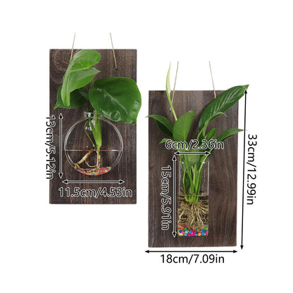 Marooma 2 Pcs Wall Hanging Glass Vases, Solid Wood Wall Mounted Glass Vase, Clear Terrarium Display Vase for Hydroponic Flowers Plants, Home Office Garden Decor (A)