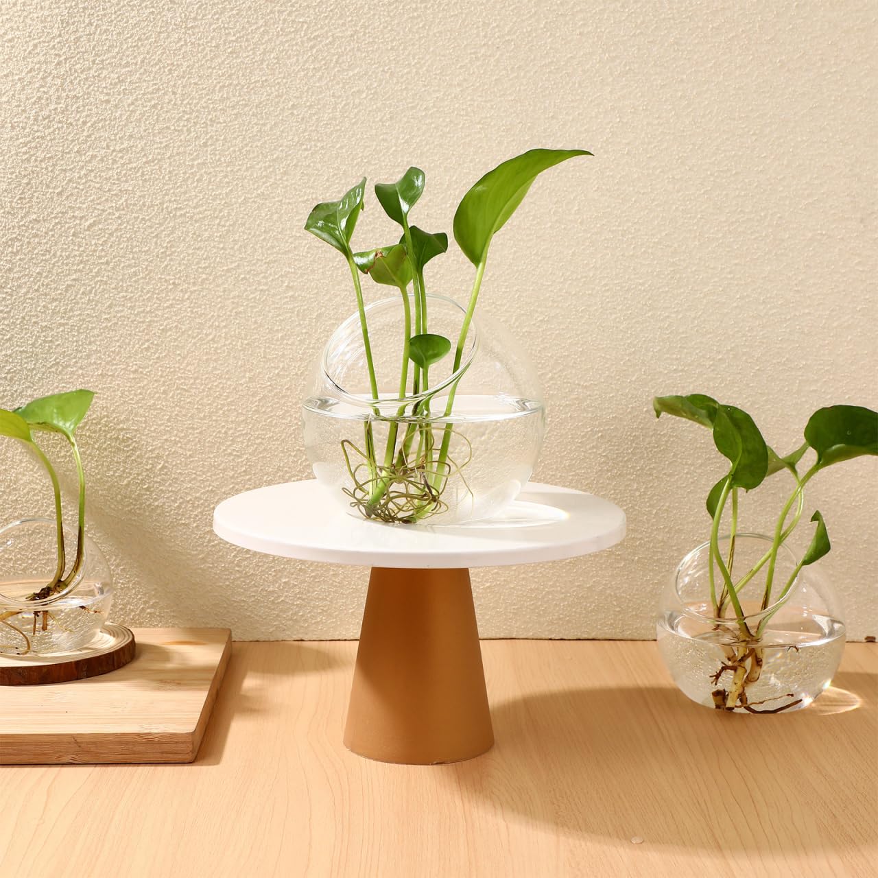 VANZACK 3pcs Round Glass Terrarium Vases Stylish Air Plant Containers for Home Office Decor Beveled Opening for Easy Plant Display for DIY Projects and Centerpieces