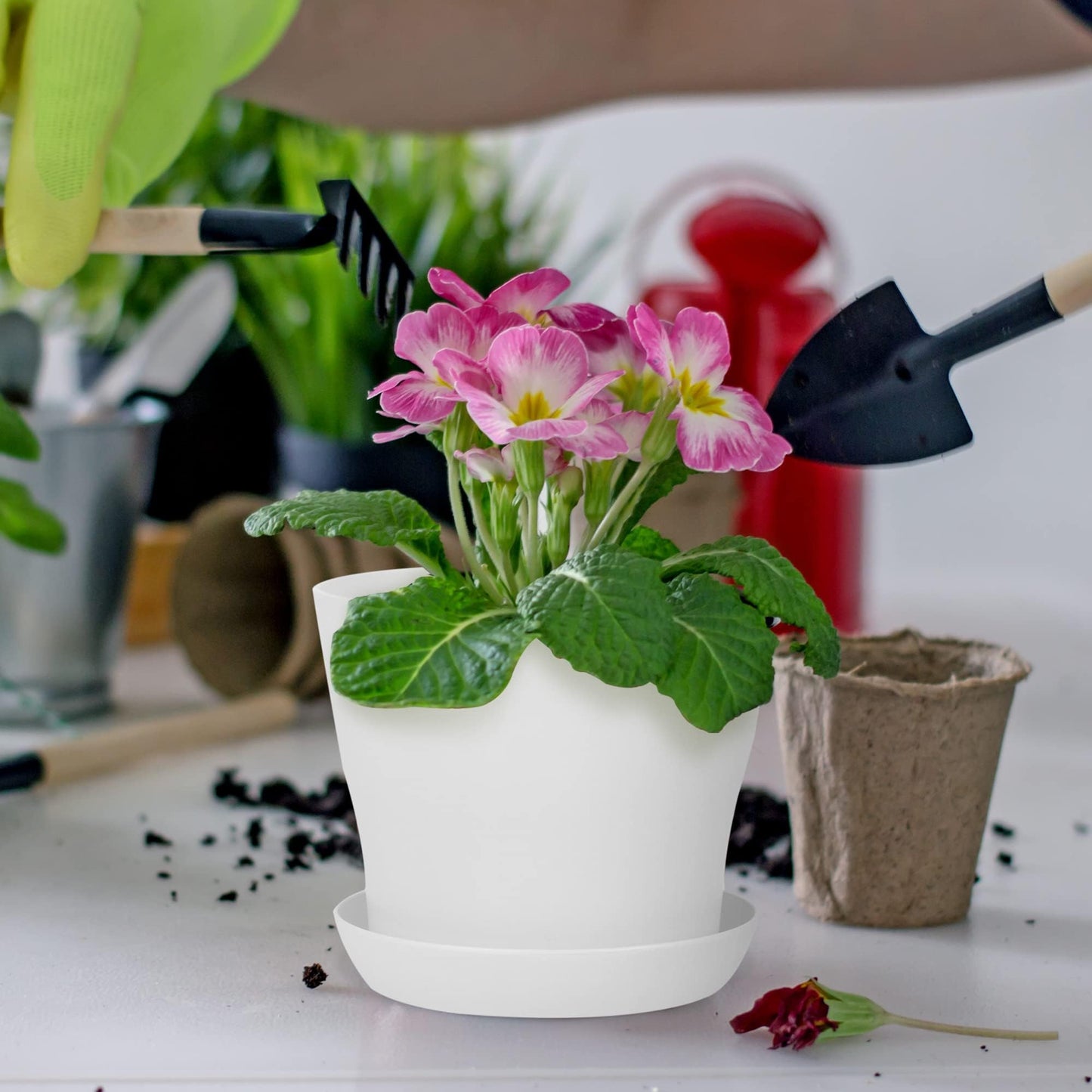 Hahood 36 Pack Plants Nursery Pots 4 Inches Plastic Flower Plant Pots Thickened Seedlings Nursery Pots with Tray White Flower Pots Gardening Plant Containers for Outdoor Indoor