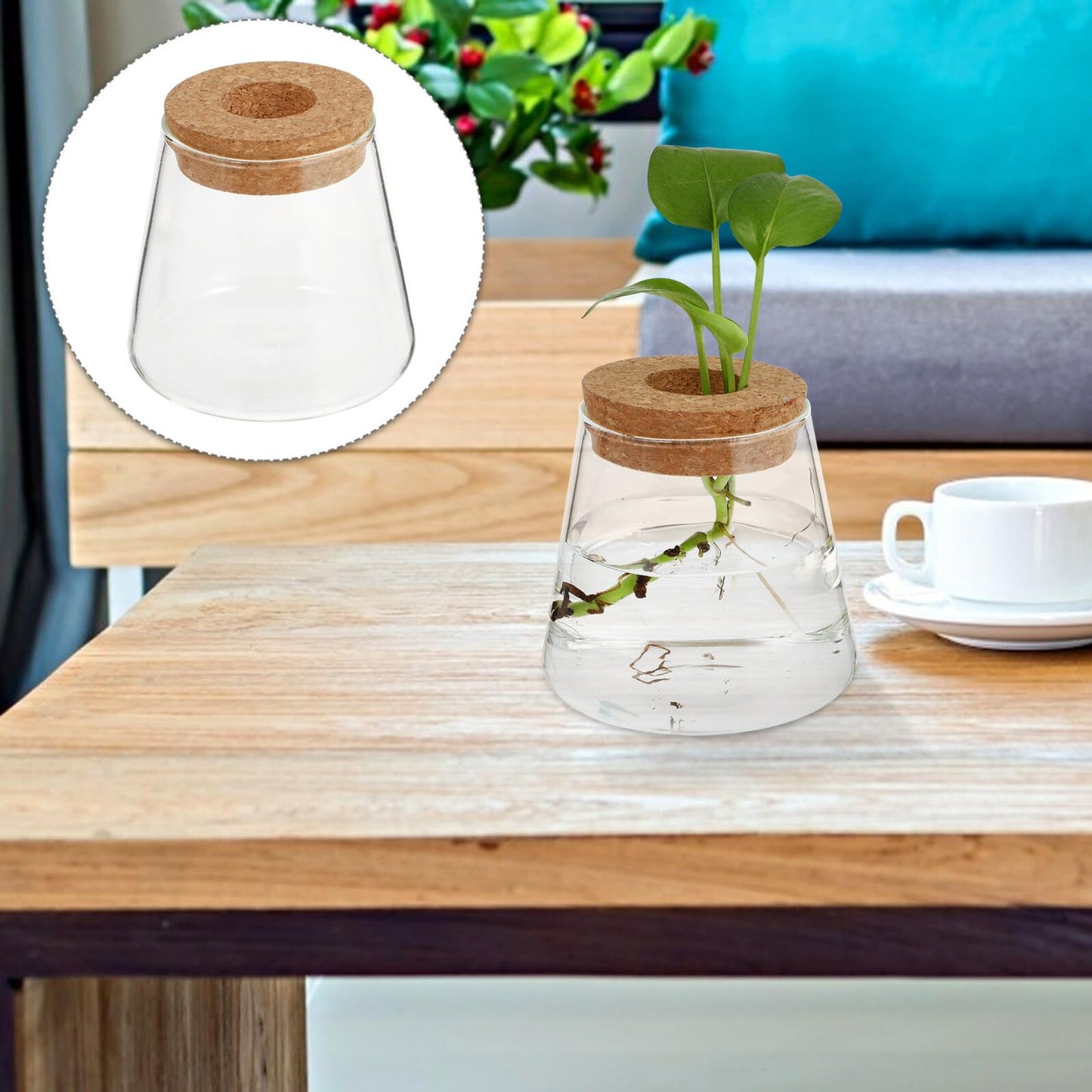 Healvian 2pcs Hydroponic Glass Plant Containers with Cork Lids 400ml Small Desktop Terrarium Vessels for Home and Office Garden Decoration