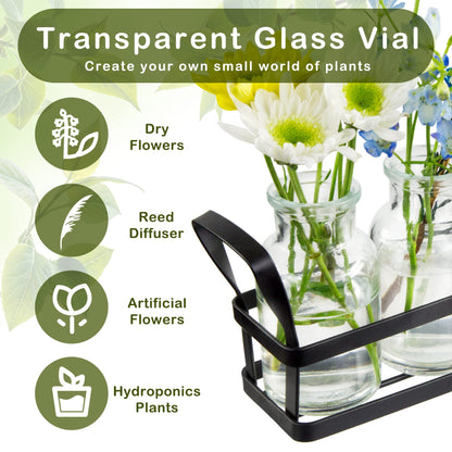 jkwokback Propagation Stations Indoor Decor Planters Terrarium with Stand,Propogation Planter Glass with 5 Air Plant Terrarium for House Plants Hydroponic Home Garden Office Decoration