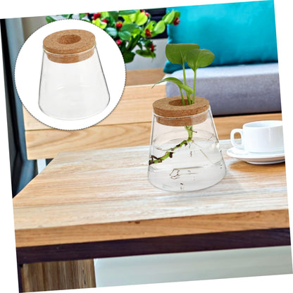 UTHCLO 2Pcs Clear Glass Desktop Vases for Hydroponics Plants Smooth Terrarium Planter Jars for Office Home Garden Decoration