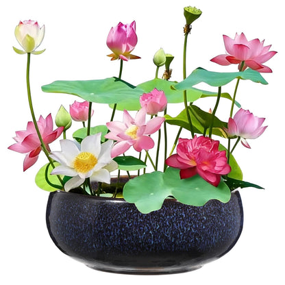 NIMBLOOM Ceramic Lotus Bowl Planter, Shallow Glazed Bonsai Pot for Water Plants, Blue Wide Dish Vase for Lotus Seeds Water Lily, Succulents and Hydroponic Arrangements, Tabletop Decor