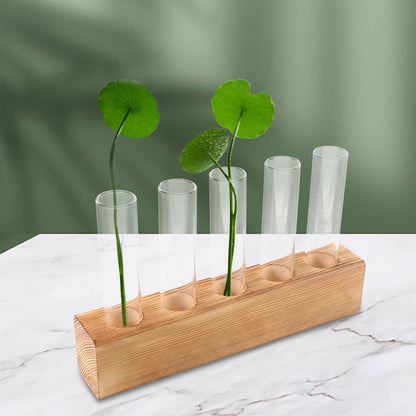 Sewroro Hydroponic Indoor Garden Glass Bud Vases with 5-Hole Wooden Stand Plant Terrarium for Desktop Office Home Décor