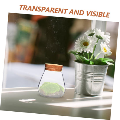 HOMSFOU Plant Propagation Station Terrarium Glass Planter Vase with Cork Clear Plant Holder Flower Jars Hydroponics Air Planter Holder Candy Jar for Home Office