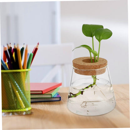 UTHCLO 2Pcs Clear Glass Desktop Vases for Hydroponics Plants Smooth Terrarium Planter Jars for Office Home Garden Decoration