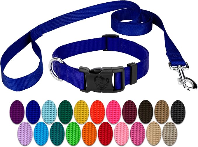 Country Brook Petz - Everyday Nylon Dog Collar and Leash - 10+ Cool Colors (1 Inch, Large, Bright Royal Blue)