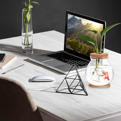 HANABASS Desktop Fish Bowl Hydroponic Terrarium Small Glass Betta Fish Tank with Wood Lid and Bamboo Stand for Home Office Decoration