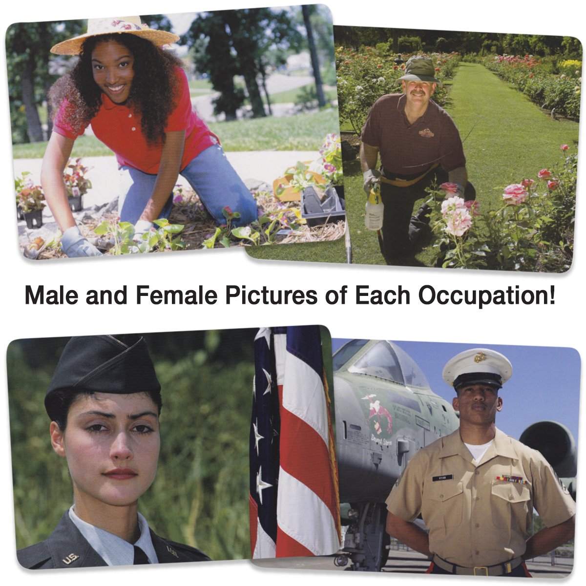 Language Builder: Occupation Cards
