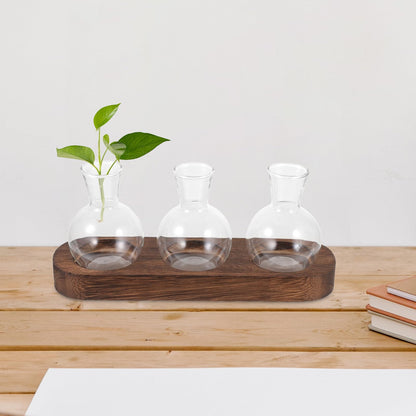 Gatuida Glass Hydroponic Flower Vase Set with Wooden Base, Table Glass Planter for Office and Home Décor, 3pcs Indoor Plant Terrarium Container