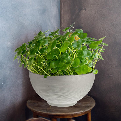 Angoily Lotus Bowl Planter, 200 Oz Large Hydroponic Planter for Water Lilies, 13.76 Inch Round Flower Succulent Cactus Bowl Flower Pot, Garden Decorative Fishbowl