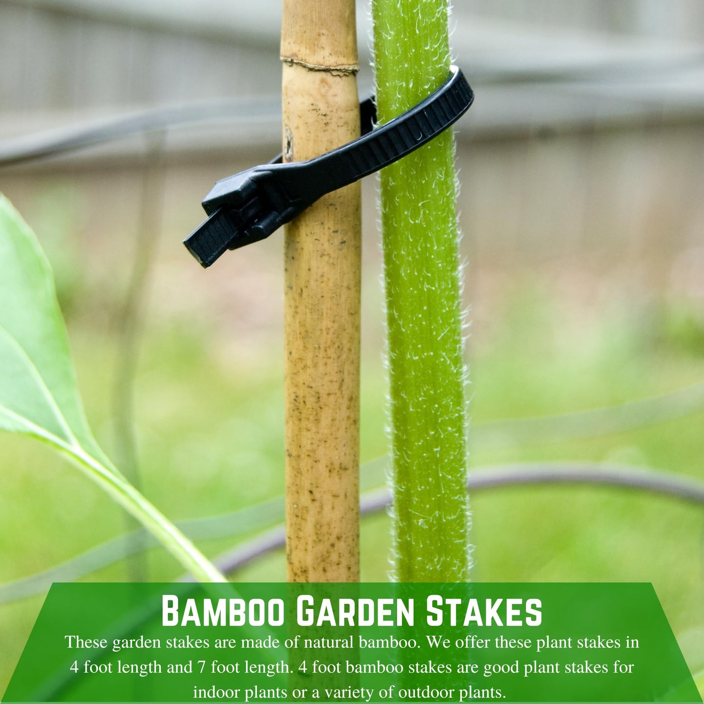 Farm Plastic Supply - Bamboo Garden Stakes - Bambo Sticks, Bamboo Plant Stakes for Outdoor Plants, Plant Support Stakes for Indoor Plants (7 Foot, 5)