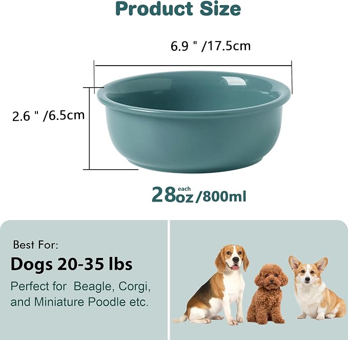 Wordcam 28oz Ceramic Dog Bowls, Durable Modern Pet Food and Water Bowls for Small Medium Dogs and Cats, Replacement Bowls for Wordcam SS03 Model (Dark Green)