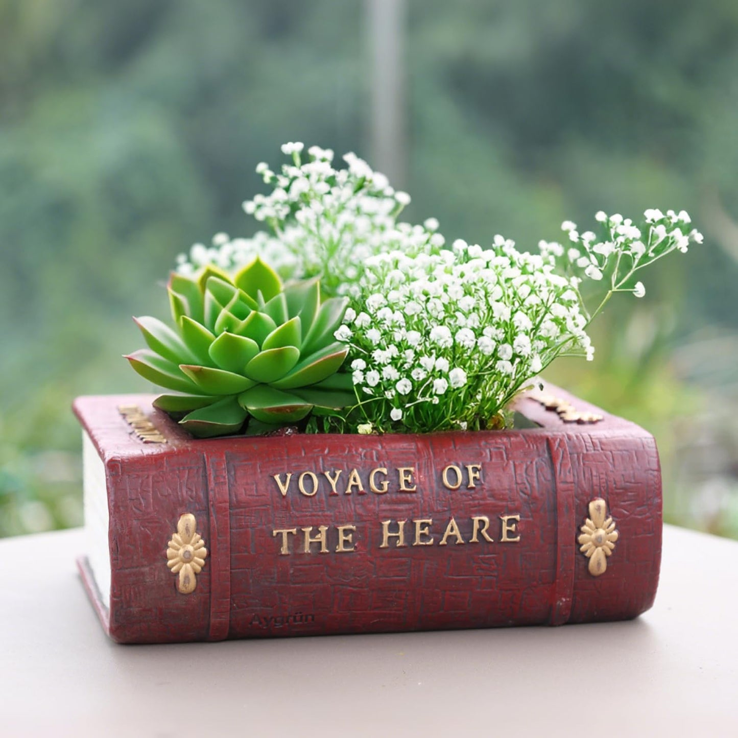 Aygrün Succulent Pots Book Shaped Planter - Cute Resin Flower Pot Bookshelf Decor Creative for Sempervivum with Drainage, Gift for Women, Man, Office, Indoor Plants, Book Lovers, 7.0″x5.0″x2.3″