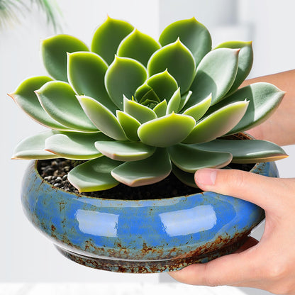 NUOBESTY Ceramic Hydroponic Plant Pot Indoor Succulent Planter for Water Lily and Narcissus Flower 7.3 Inch Decorative Bowl for Garden Balcony Table