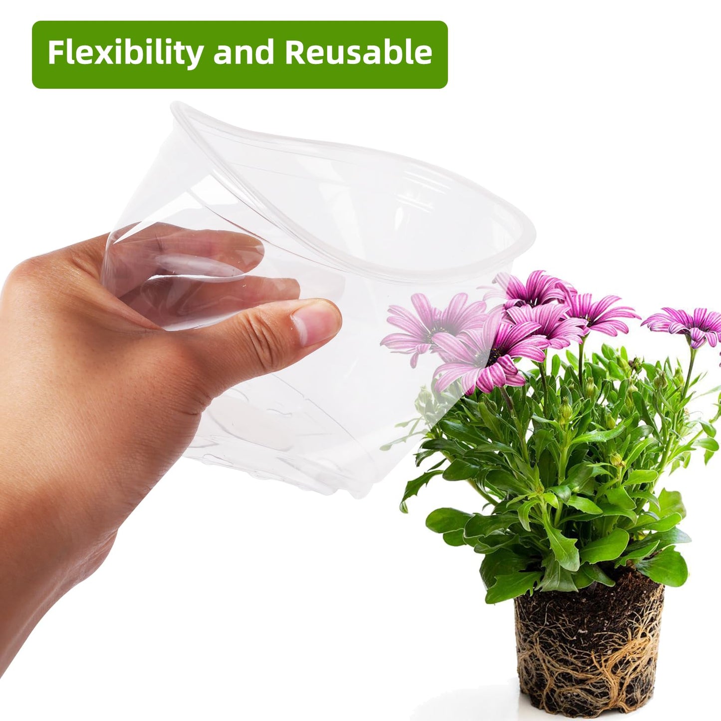 Oubest 50Pcs Clear Nursery Plastic Pots for Plants Orchid Potting 5 Inch Seedling with Drainage Holes Indoor Outdoor Flower Seedlings Succulent Vegetable Herb