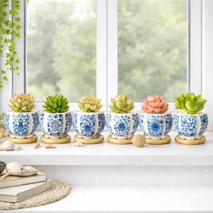 celamos Succulent Pots 6 Pack, Small Flower Pots with Drainage Bamboo Tray, 3.1 Inch Succulent Pots for Indoor Plants, Cactus Pots and Planters, Decorative Small Pots for Home Office