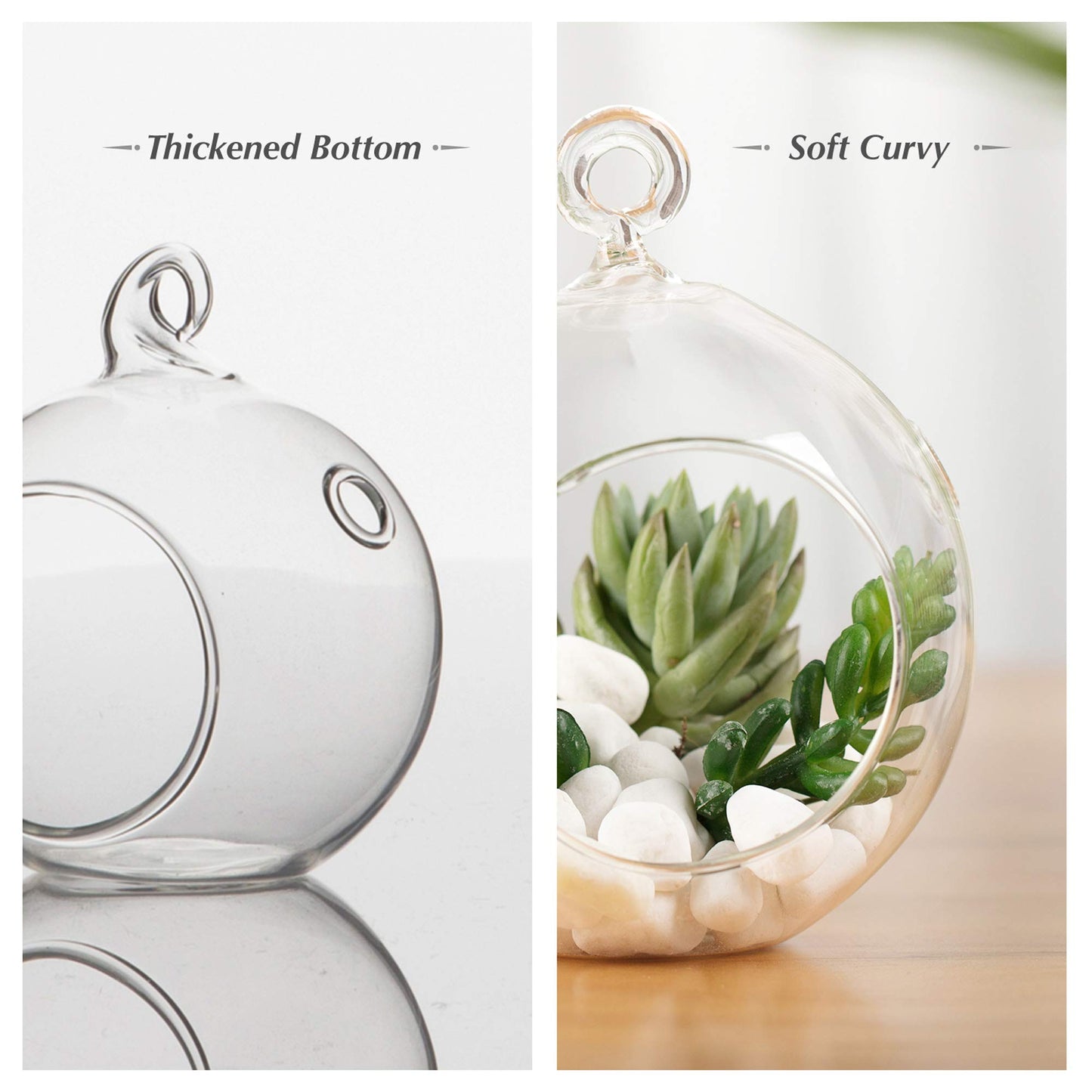 WGVI WGV Hanging Terrarium Globe, Width 8", Height 9", DIY Air Succulent Planter, Clear Glass Vase Orb with Flat Bottom, Candle Holder for Windowsill Outdoor Garden Decor, 1 Piece