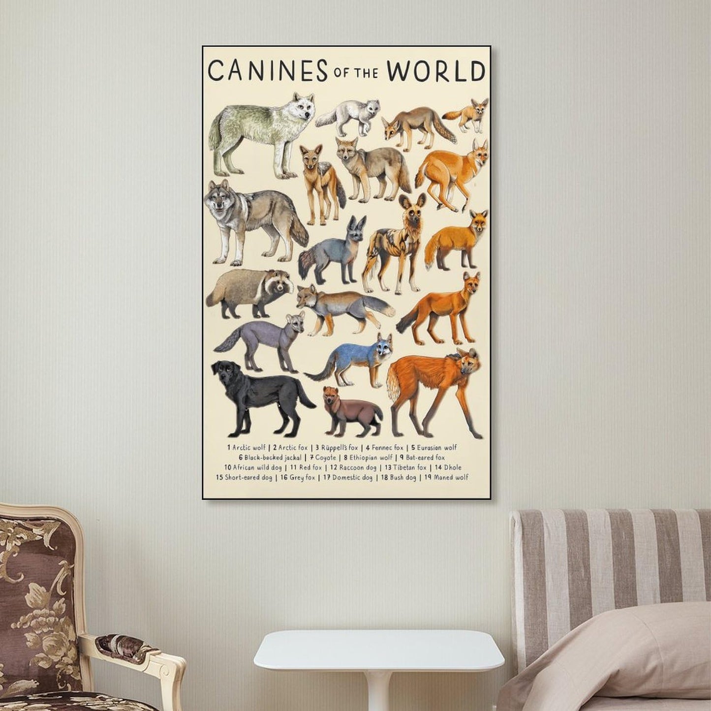 CYPGTBCK Canines Poster - Wolf Dog Fox Animal Knowledge Art - Modern Family Bedroom Decor - 16x24inch (40x60cm)