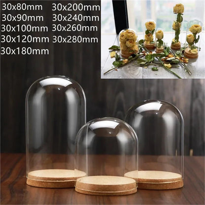 10X Da30mm Glass Bottle Terrarium Jar Cork Base Dome Dust Cover DIY Specimen Succulent Plant Micro Landscape Flower Vase Display(30x120cm)