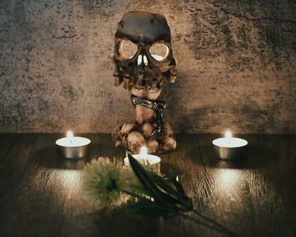 DS. DISTINCTIVE STYLE Skull Candle Holder 6.3 Inch Tea Light Holder Small Gothic Home Decor Halloween Decorations