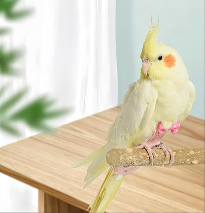 2Pcs Bird Diapers Bird Harness Flight Suits Diapers with 80 Inch Flying Leash Parrot Nappy Washable Cute Urine Wet Suit for Cockatiel Conure Macaw Budgies Parakeet-Rabbit&Pineapple,M