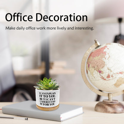 EVIHCG Humorous Quote Planter Pots, Funny Gifts for Women Men Friends Teachers, I Can Explain It to You Ceramic Succulent Plant Flower Planters for Home Office Desk Table Shelf(No Plants)