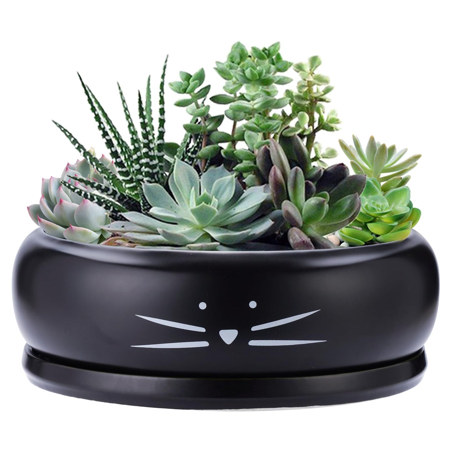 Koolkatkoo 8 Inch Cat Ceramic Succulent Planter Pot with Drainage Hole and Tray Flower Pot for Indoor and Outdoor Plants Round Shallow Planter Gifts for Cat Lovers Black