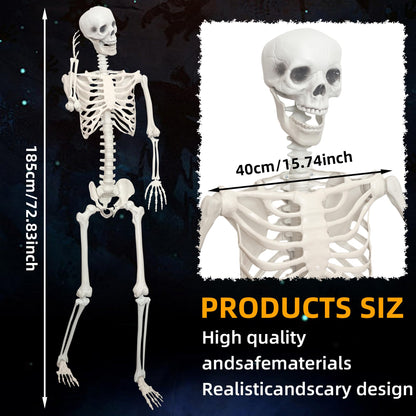 LOSFOTBO 5.9Ft/180cm Giant Skeleton Poseable Skeleton Realistic Full Body Bones for Halloween Decorations