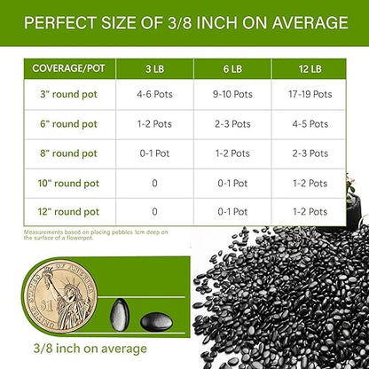 NUPICK 3lb River Rocks for Plants Indoor, 3/8 Inch Black Pebbles for Vases Fillers, Decorative Pea Gravel for Fish Tank, Natural Polished Stones for Succulent, Bonsai, Landscaping, Bird Baths