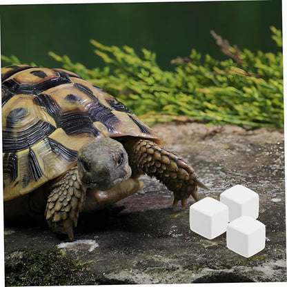 BESPORTBLE 6pcs Mineral Block Chew Toy for Birds Reptiles Turtles Pets Nutrient Source for Health Digestion and Immune Support