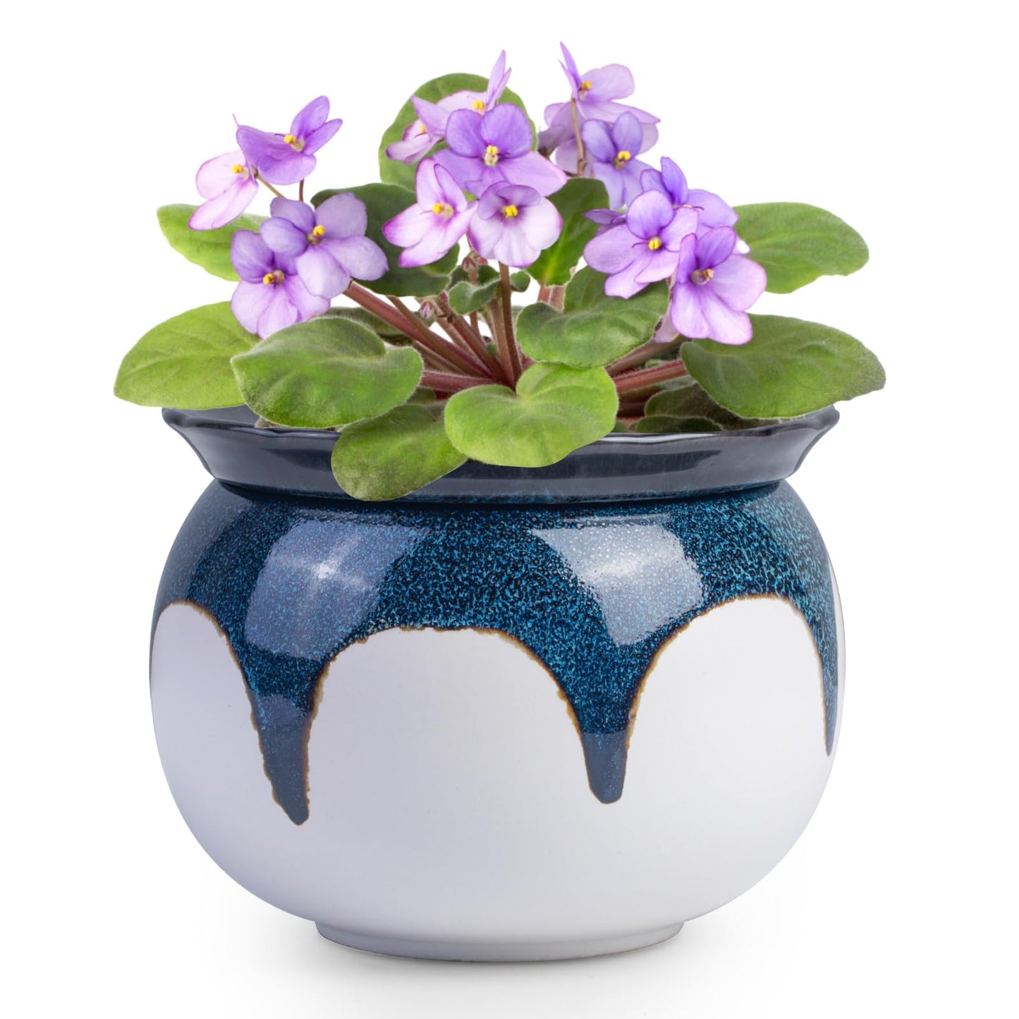 African Violet Pots, 6 inch Ceramic Easy Self Watering Plant Pot for Busy Plant Lovers, Automatically Absorb Appropriate Amount of Water, Flower Pot Indoor-Plants Not Included(Blue)