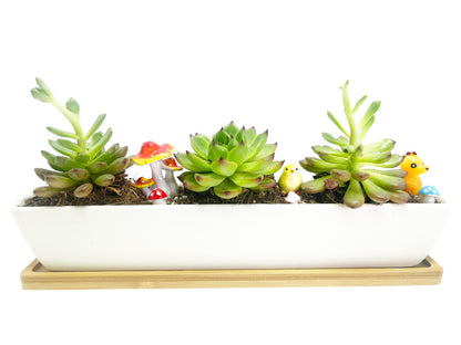 WISH HALLY WOOD 11inch Long Rectangle White Ceramic Succulent Planter Pots/Mini Flower Plant Containers with Bamboo Saucers. Product Size:11x2.23x1.69inch,not Include The Plant. (Long Rectangle)