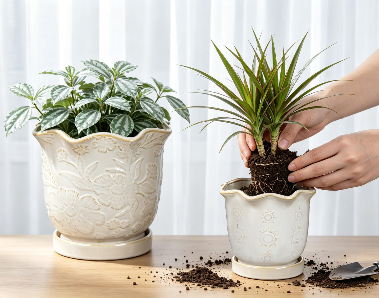 Set of 2 Ceramic Flower Pots, 8" & 5.5" Plant Pots Indoor with Drainage Hole and Saucers, Large Embossed Sunflower Planter Pot, Decorative Scalloped Rim Ceramic Pots for Plants Orchid Snake Outdoor