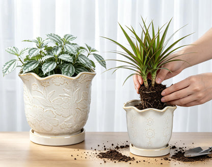 Set of 2 Ceramic Flower Pots, 8" & 5.5" Plant Pots Indoor with Drainage Hole and Saucers, Large Embossed Sunflower Planter Pot, Decorative Scalloped Rim Ceramic Pots for Plants Orchid Snake Outdoor