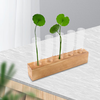 CORHAD Hydroponic Plant Terrarium with 5-Hole Glass Vase and Wooden Stand, Desktop Water Planter for Indoor Home Décor and Plant Propagation
