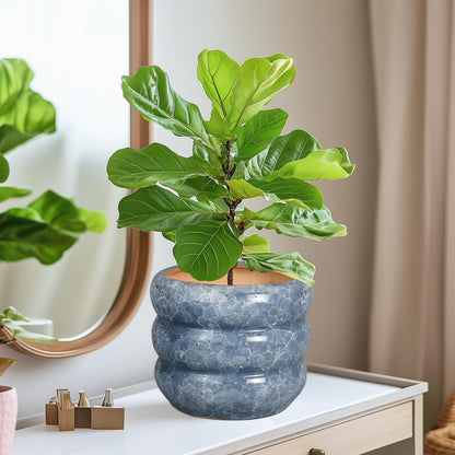 SQOWL Ceramic Planter 8 Inch - Indoor Plant Pot with Drainage Hole Outdoor Planter Round Flower Pot Modern Decorative Plant Pot for Home Office Decor Gray