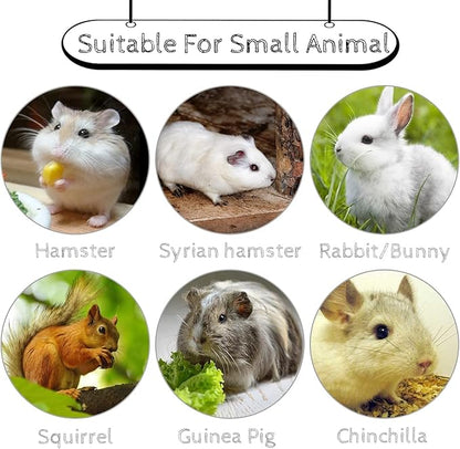 Hamiledyi 5 Pcs Chinchilla Lava Blocks Fruit Shaped Rabbit Chew Toys Bunny Lava Teeth Grinding Square Stone Small Animal Mineral Calcium Stone for Hamsters Rabbit Chinchillas Squirrel Mouse Rat Parrot