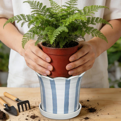 Nature Crafted Ceramic Plant Pots, 5.8 Inch Planter Pot with Drainage Hole and Sauser, Stripe Ceramic Planters with Floral Edge for Indoor Succulent Flower Orchid Plants Home Room, Blue